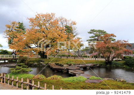 秋の兼六園(雁行橋) 秋の兼六園(雁行橋) 9241479