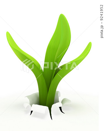 Young sprout isolated on white background 9241952