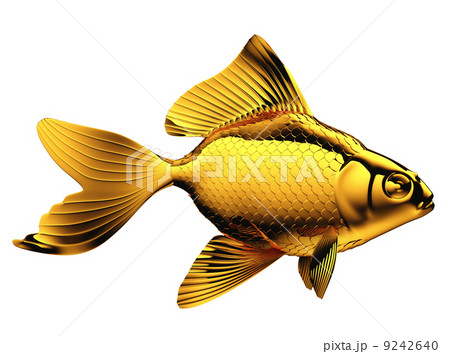 Goldfish with fins and scales isolated 9242640