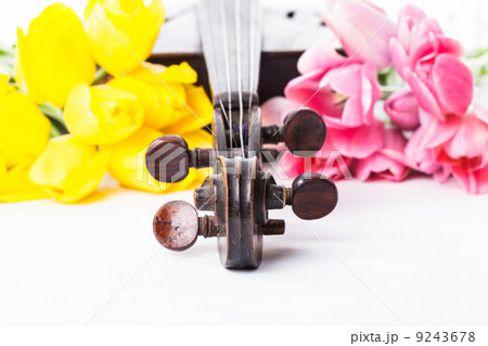 Black old violin Black old violin 9243678
