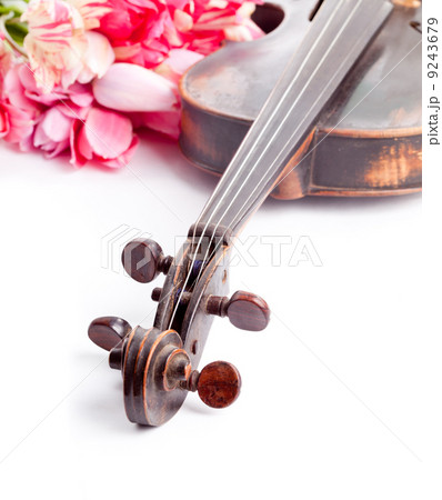 Black old violin Black old violin 9243679