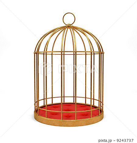Golden cage isolated on white background 9243737