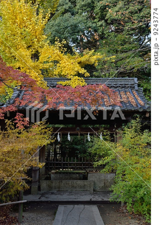 梨木神社の手水舎 9243774