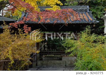 梨木神社の手水舎 9243775