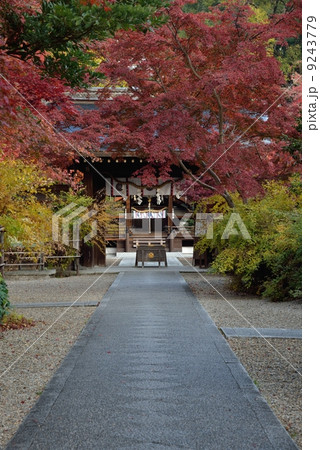 梨木神社の参道 9243779