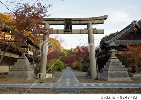 梨木神社の鳥居 9243782
