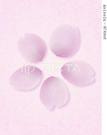 桜の花びら 桜の花びら 9244148