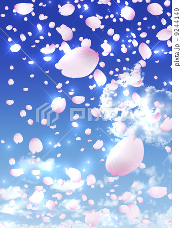 桜吹雪 桜吹雪 9244149
