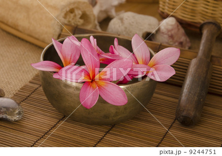 tropical spa setup with traditional frangipani flower and massag 9244751