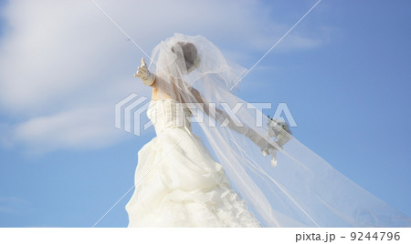 ウェディング 9244796