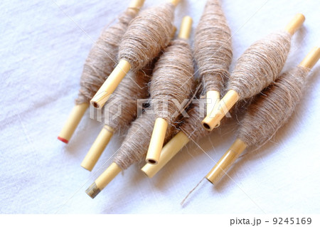 数本の小管（こくだ） 9245169