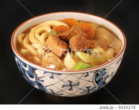 カレーうどん 9245278