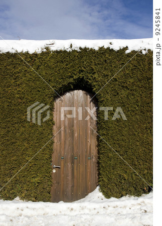 Snow entrance gate 9245841