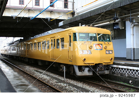 現役の117系電車 9245987