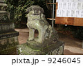 狛犬 9246045
