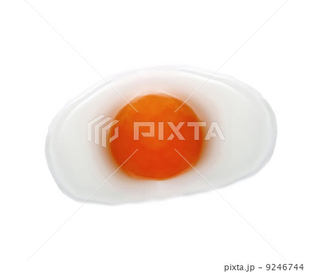 Egg yolk on a white background 9246744