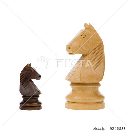 Chess knights isolated - concept 9246883