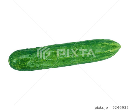 Cucumber isolated Cucumber isolated 9246935