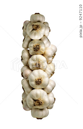 Bunch of garlic isolated 9247110
