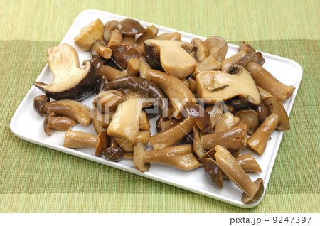おいしいキノココンフィ おいしいキノココンフィ 9247397