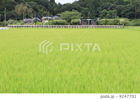 上総川間駅 9247701