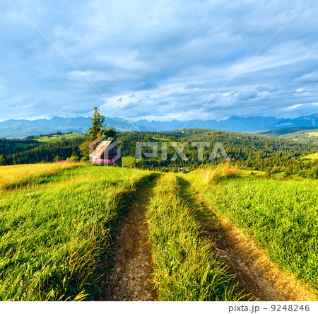 Summer mountain country view Summer mountain country view 9248246