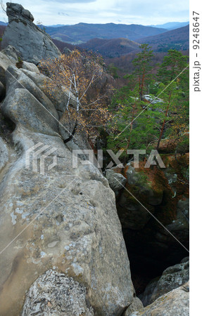 lofty stones in forest 9248647