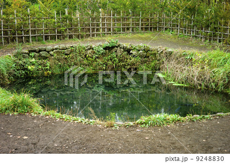 忍野八海　銚子池 9248830