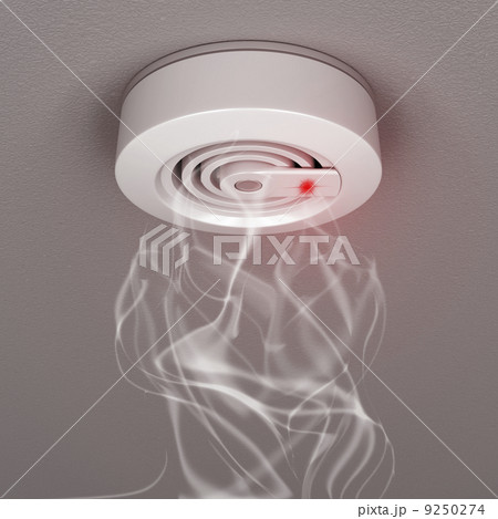 Smoke and fire detector 9250274