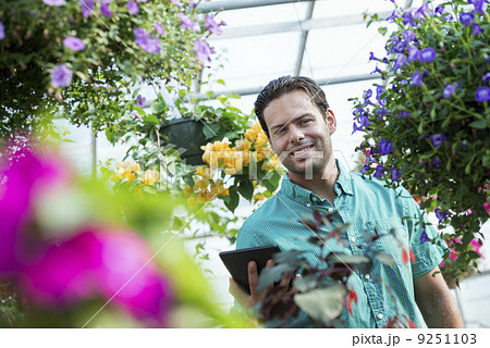 A commercial greenhouse in a plant nursery growing organic flowers. Man working, using a digital tablet. 9251103