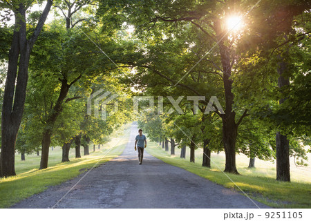 A man walking down a tree lined avenue in the countryside. A man walking down a tree lined avenue in the countryside. 9251105
