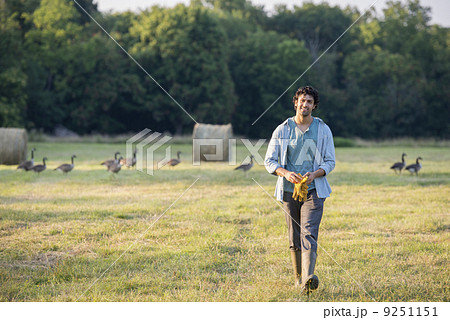 A man walking across a field, away from a flock of geese outdoors in the fresh air.  9251151