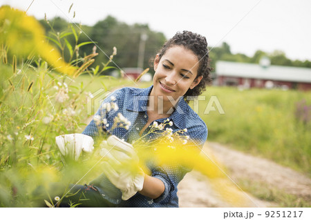 Working on an organic farm. Working on an organic farm. 9251217