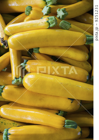 Organic vegetables on a farm stand. Piles of fresh courgettes. 9251231