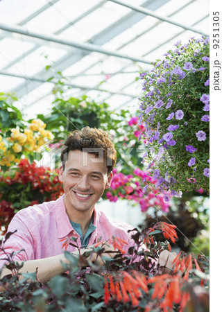A commercial greenhouse in a plant nursery growing organic flowers. Man working, checking and tending flowers. A commercial greenhouse in a plant nursery growing organic flowers. Man working, checking and tending flowers. 9251305