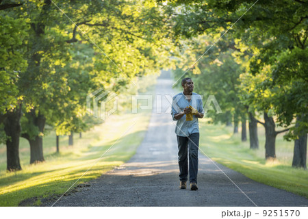 A man walking down a tree lined avenue in the countryside. A man walking down a tree lined avenue in the countryside. 9251570