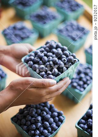 Organic fruit displayed on a farm stand. Blueberries in punnets. 9252017
