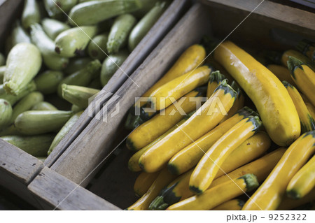 An organic farm stand. Boxes of yellow and green courgettes. An organic farm stand. Boxes of yellow and green courgettes. 9252322