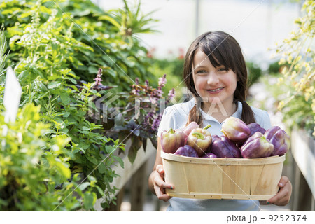 Summer on an organic farm. A girl holding a basket of fresh bell peppers. Summer on an organic farm. A girl holding a basket of fresh bell peppers. 9252374