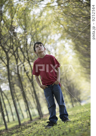 A young boy in the woodland, looking around curiously. A young boy in the woodland, looking around curiously. 9252564