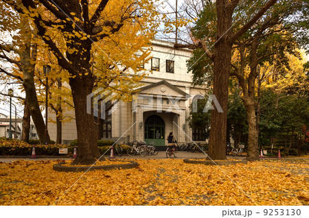秋の江東区立深川図書館 9253130
