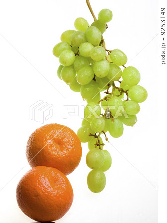 Bunch of grapes in drops of water and tangerines 9253149