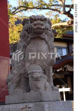 狛犬 9254095