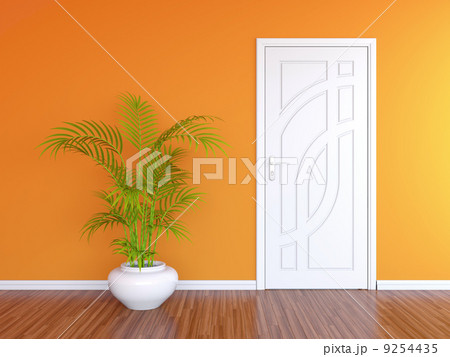 White door and orange wall 9254435