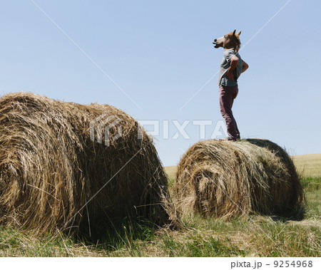 A Man Wearing A Horse Mask, Standing On A Hay Bale, Looking Out Over Farmland.  9254968