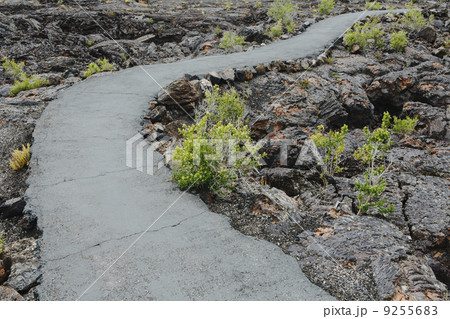 A Paved Pathway Through The Lava Fields Of The Craters Of The Moon National Monument And Preserve In Butte County Idaho. Sagebrush Plants Growing. 9255683