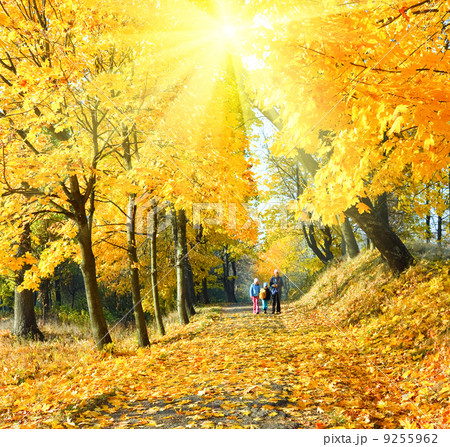 Family in autumn sunshine maple park 9255962