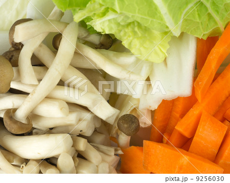 野菜のトッピング 野菜のトッピング 9256030