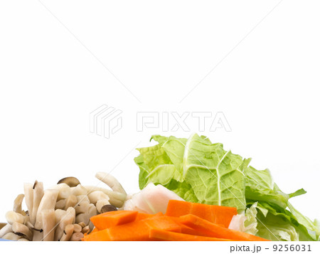 野菜のトッピング 9256031