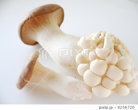 エリンギとしめじ 9256720